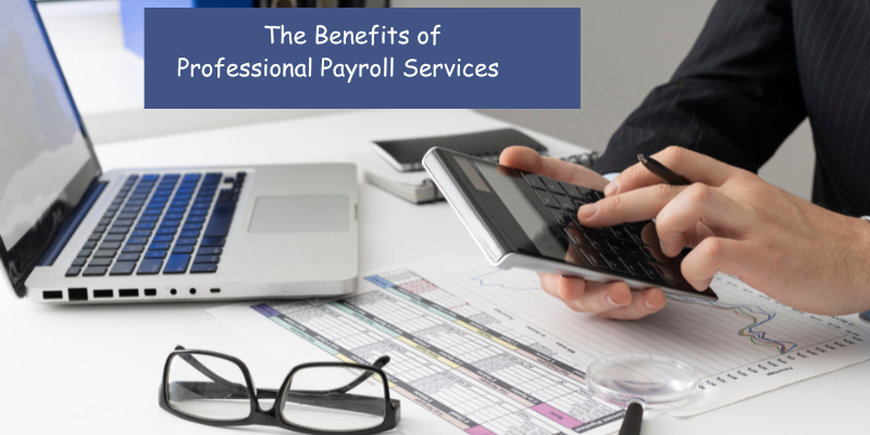 The Benefits of Professional Payroll Services